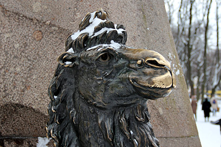 Голова верблюда у основания памятнику Пржевальскому в Александровском саду в Санкт-Петербурге.