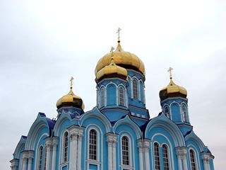 Задонск, Задонский Рождество-Богородицкий мужской монастырь, Купола Владимирского собора.