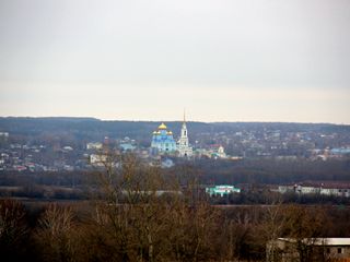 Вид на Задонский монастырь от села Болховское.