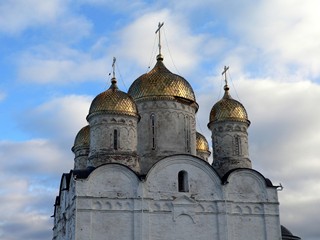 Можайск, Можайский Лужецкий Ферапонтов монастырь. Купола Богородицерождественского собора.