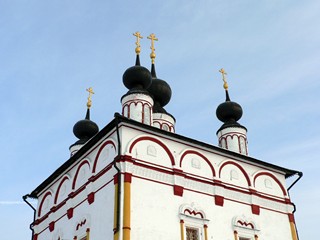 Свято-Троицкий Белопесоцкий женский монастырь. Купола Троицкого собора