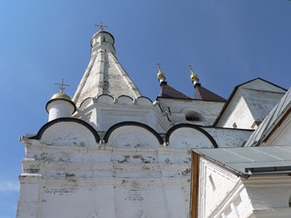 Серпухов, Владычный женский монастырь. Купола Георгиевской церкви и звонницы.