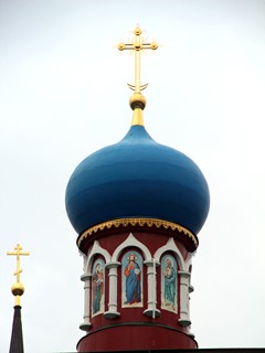 Николо-Радовицкий монастырь. Купол собора Рождества Пресвятой Богородицы.