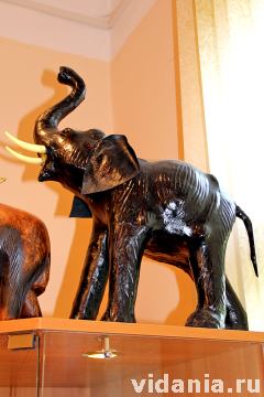 Музей слонов в Жуковском