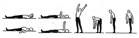 Упражнения для расслабления мышц рук, спины и ног