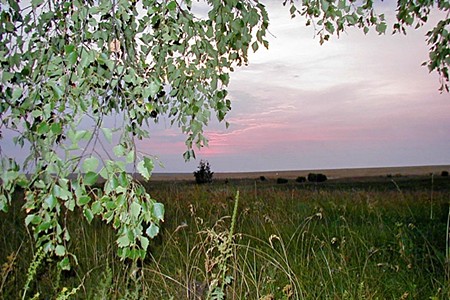 Леса и поля в Тульской области.